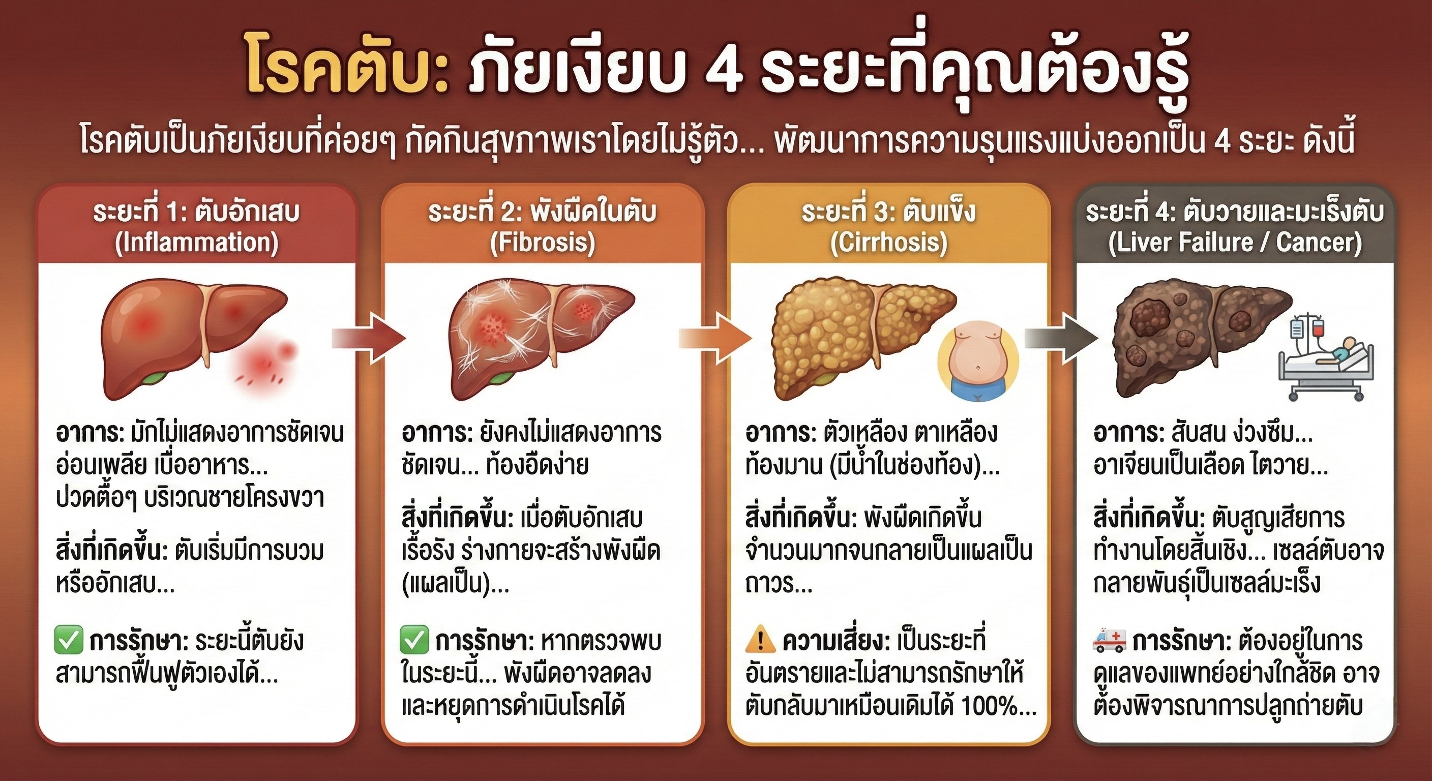 ระยะของโรคตับ